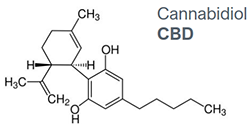 CBD Formel