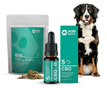 CBD für Tiere